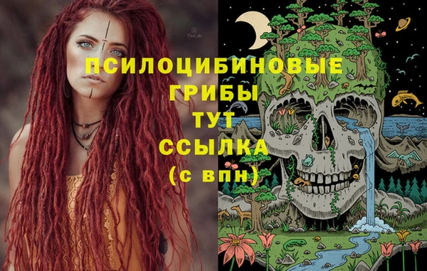 прущие крисы Каменногорск