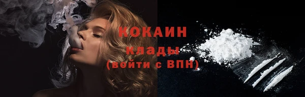 спайс Каменка