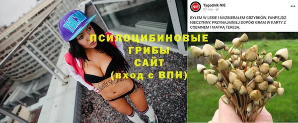 спайс Каменка