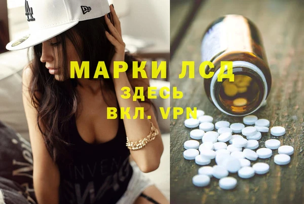спайс Каменка